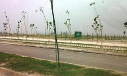 Why Yamuna Expressway Authority Plots are the Perfect Investment for Real Estate Buyers.