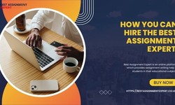 How You Can Hire the Best Assignment Expert