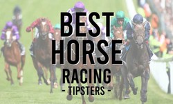 How to Find the Best Free Horse Racing Tips Online