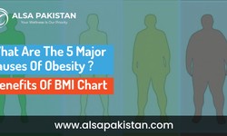 What Are The 5 Major Causes Of Obesity? | Benefits Of BMI Chart