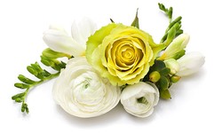 Discover the Best Melbourne Corsage Florist for Your Next Event.