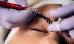 Find Best Nearby Powder Brows Services In Naples Florida