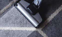 The Ultimate Guide to Carpet Cleaning for Pet Owners: Tips and Tricks You Need to Know!
