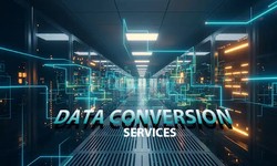 Effortless Data Management with Reliable Outsource Data Conversion Services