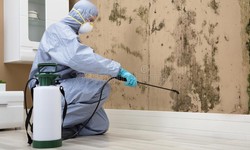 Protect Your Business Assets with Professional Pest Control Services