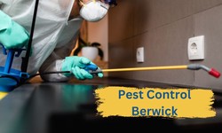 Top Reasons Why Melbourne Homeowners Need Professional Pest Control Services