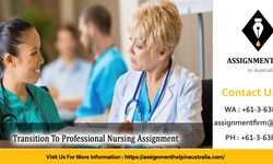 NRSG367 Transition To Professional Nursing Assignment 1