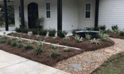 All Seasons Landscaping Contractor in Baton Rouge