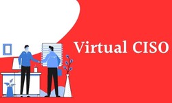 Virtual CISO and why they are important
