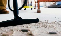 Carpet Cleaning vs Junk Taking: Which is better for your home?