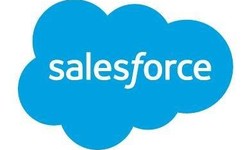 Everything You Should Know about Salesforce Classes in Nagpur