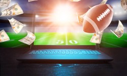 Eat-and-Run Verification: The Official Sports Betting Site