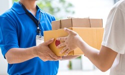 A Comprehensive Guide on Same-Day Courier Service