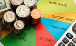 Household Overdraft expenses- How to Manage them with Budget Calculator