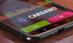 What Everyone Ought To Know About CARDANO Coin