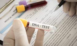 An Overview of DNA Testing Basics