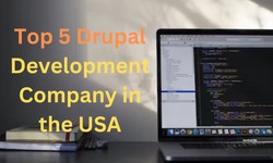 The Top 5 Drupal Development Companies in the USA