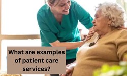 What are examples of patient care services?
