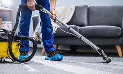 How to Clean a Carpet with a Vinegar and Water Solution Safely