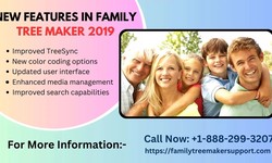 New features in family tree maker 2019