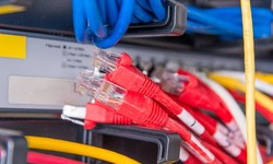 Cat 6 Plenum Cable vs Riser Ethernet Cable: Which One to Buy?