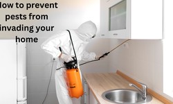 How to prevent pests from invading your home