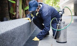 Say Goodbye to Pests! Discover the Best Pest Control in Yarralumla