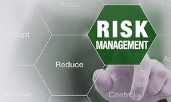 Maximizing Success with a Comprehensive Risk Management System