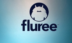 Fluree node deployment service for building decentralized applications