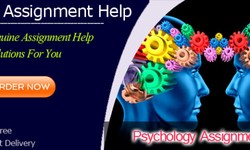 psychology assignment help from Australian Subject Experts