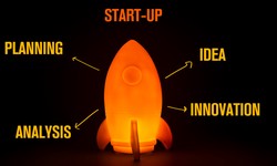 Why Startups Need Professional Services to Succeed