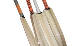 Weight of the cricket bat