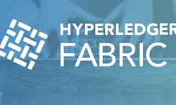 How to use Hyperledger Fabric nodes to build blockchain-based applications