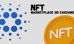 5 Important Steps To Build Your Own NFT Marketplace On Cardano - A Self Guide