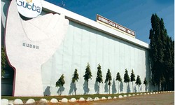 About of pharma warehouse