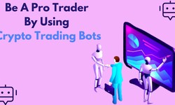 How To Transform Your Trading Career From Beginner To Expert?