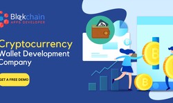 Cryptocurrency Wallet Development Company - The Deepest Guide To Launch your Crypto Wallet Securely