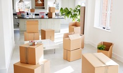 The Best Cleaning Supplies For Move Out Cleaning