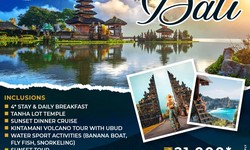 Are You Planning to Visit Bali Indonesia