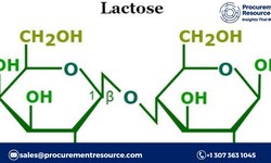 Lactose Manufacturing Process: Raw Materials Requirements, Variable Cost, Production Cost Summary and Key Process Information