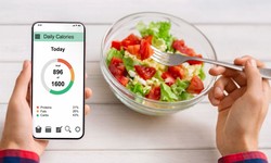How To Use A Calorie Calculator To Maintain Weight Loss Regime