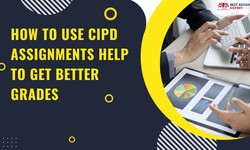 How to Use Cipd Assignments Help to Get Better Grades