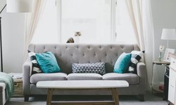 Experience A Sparkling Clean Lounge With Wollongong's Top Cleaners