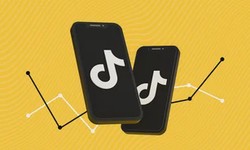 How to Use TikTok to Promote Your Brand?