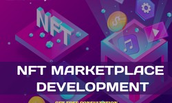 Why startups should Create NFT Marketplace for crypto business?