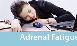 Stress and Adrenal Fatigue: Understanding the Connection