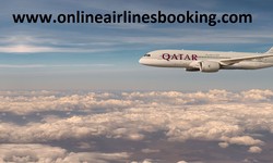 How Do I Talk to Qatar Airlines Experts in Spanish?