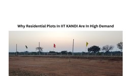 Why Residential Plots In IIT KANDI Are In High Demand