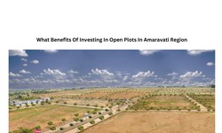 What Benefits Of Investing In Open Plots In Amaravati Region