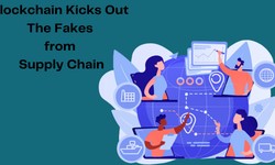 Blockchain Helps To Detect And Throw Away Counterfeits From Supply Chain